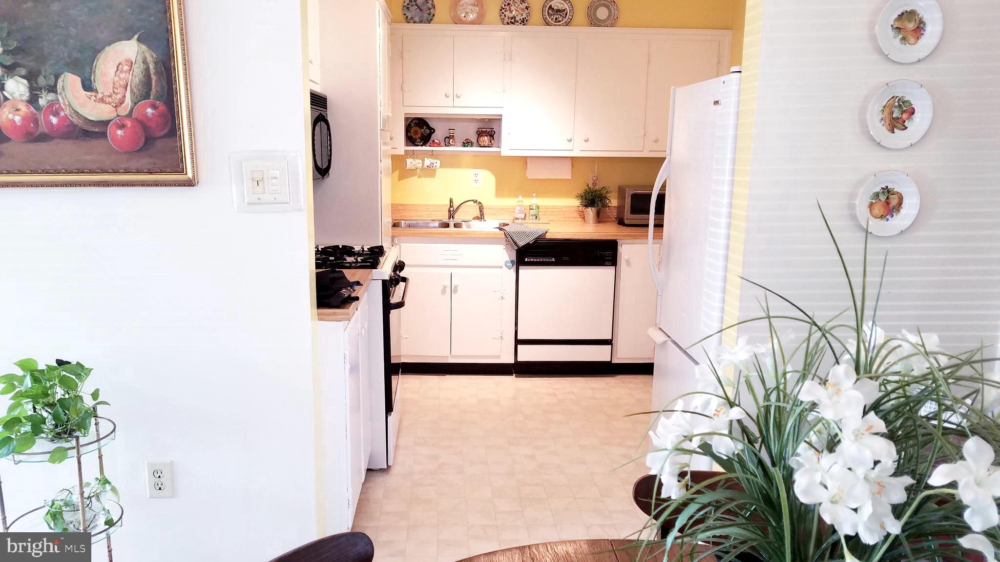 4604 Roundhill Road Alexandria, VA 22310 - Photo 15 of 40 Gallery Image 15