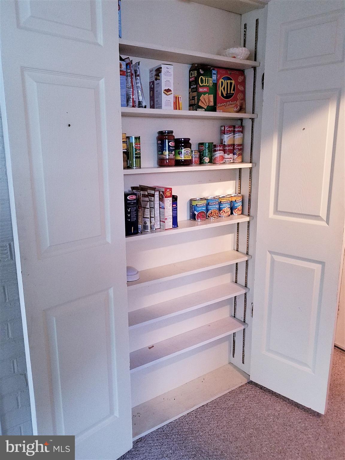 4604 Roundhill Road Alexandria, VA 22310 - Photo 20 of 40 Pantry (additional)