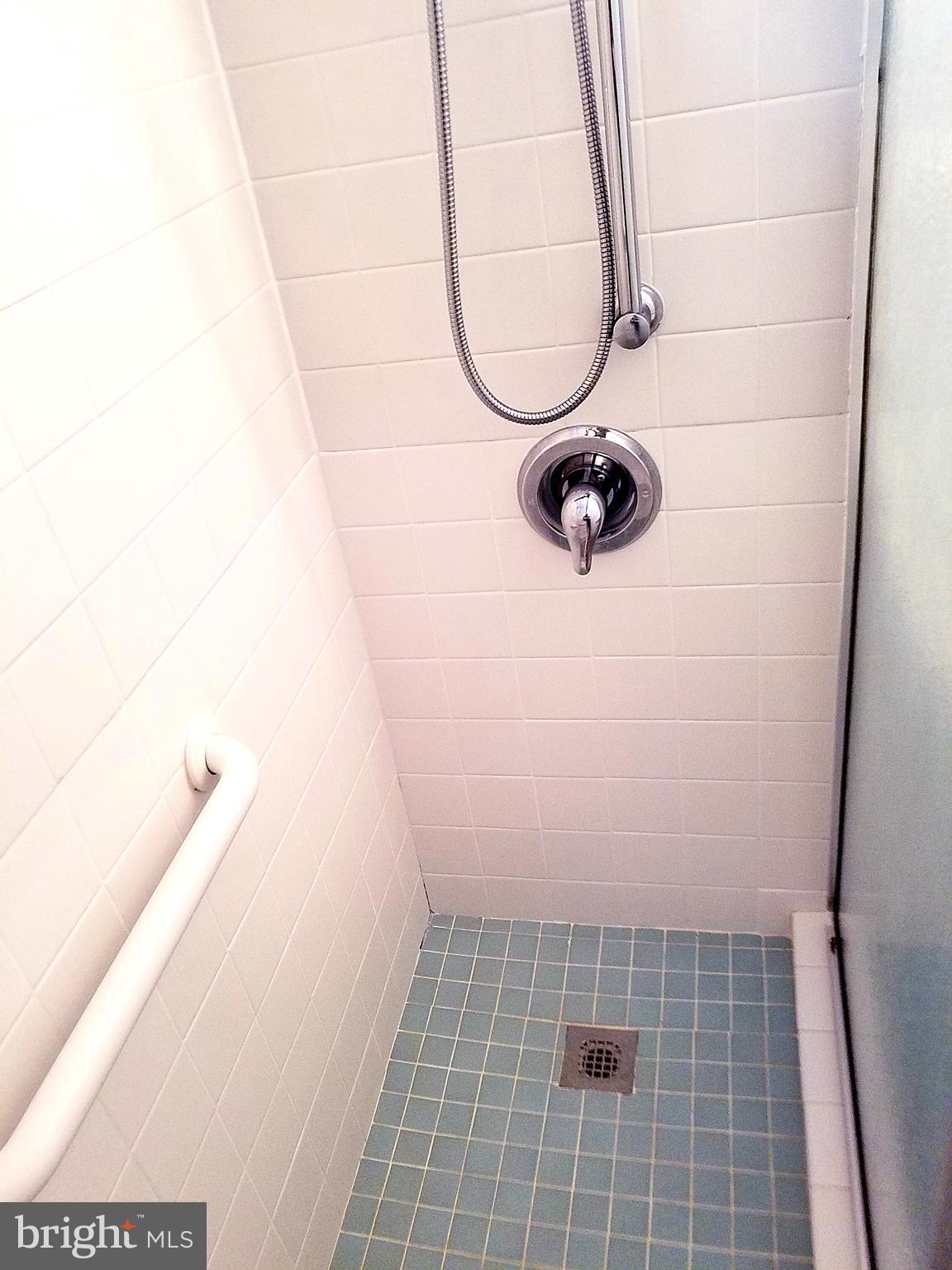 4604 Roundhill Road Alexandria, VA 22310 - Photo 26 of 40 Shower view 2