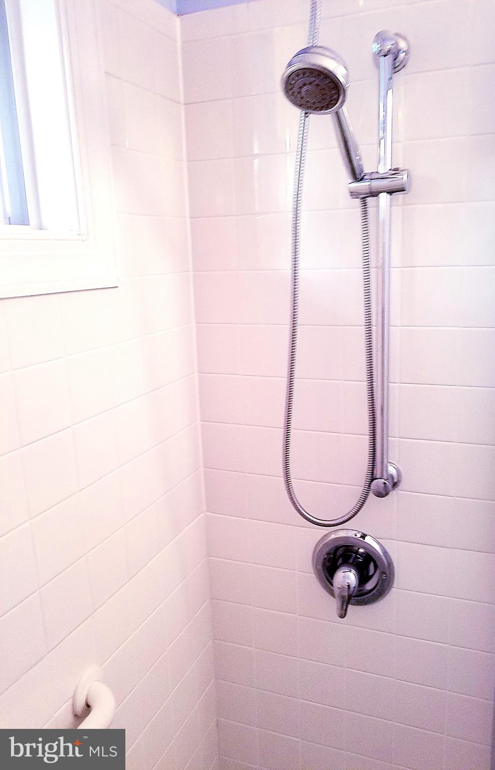 4604 Roundhill Road Alexandria, VA 22310 - Photo 27 of 40 Shower view 3