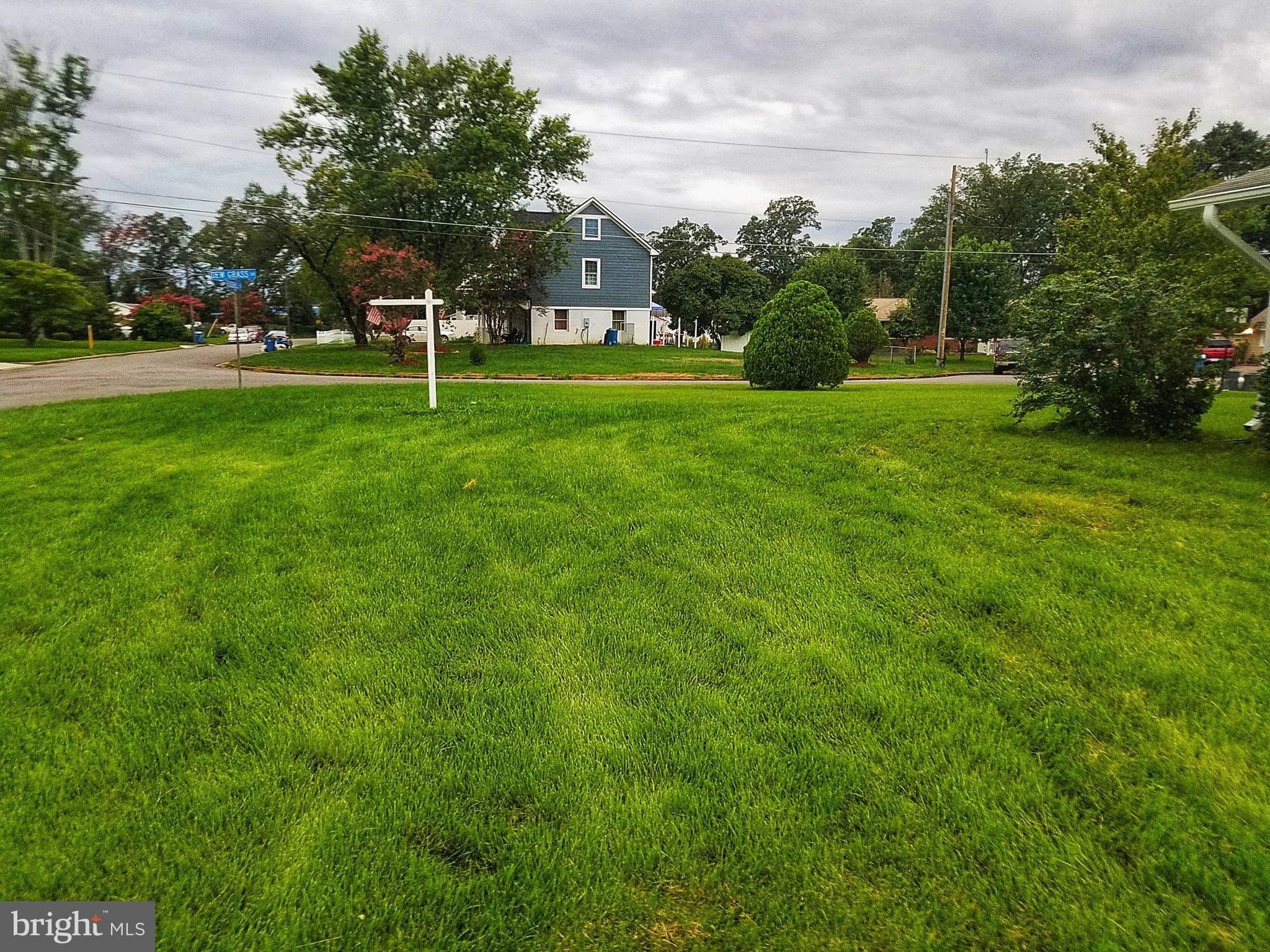 4604 Roundhill Road Alexandria, VA 22310 - Photo 4 of 40 Corner Lot - 3rd of an acre; Lush Zoysia Grass