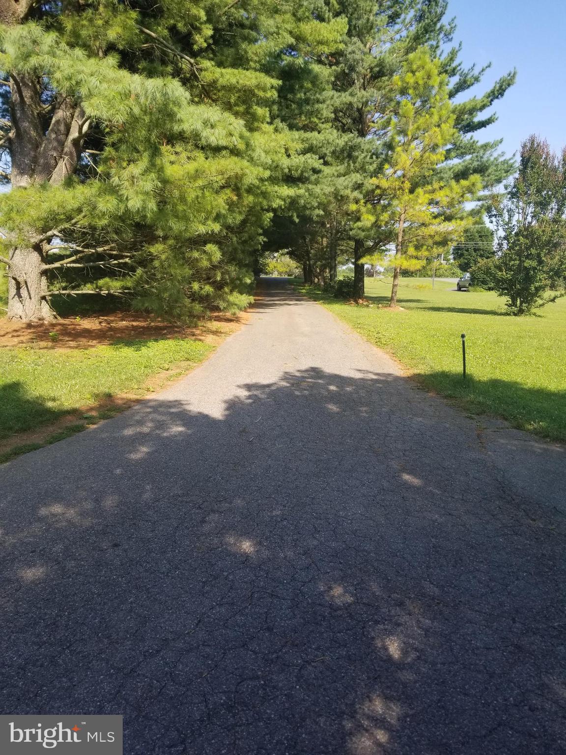 3789 Ivory Road Glenelg, MD 21737 - Photo 53 of 57 Driveway