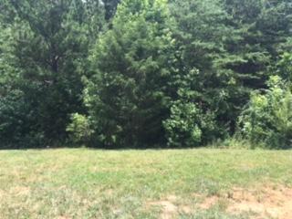7930 Intervale Way Powell, TN 37849 - Photo 13 of 17 IMG_4209