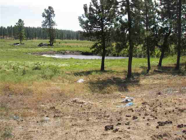 3613 West Depot Springs Road Cheney, WA 99004 - Photo 4 of 9
