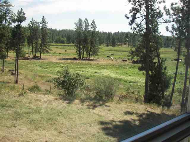 3613 West Depot Springs Road Cheney, WA 99004 - Photo 5 of 9