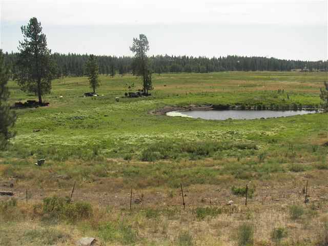 3613 West Depot Springs Road Cheney, WA 99004 - Photo 9 of 9