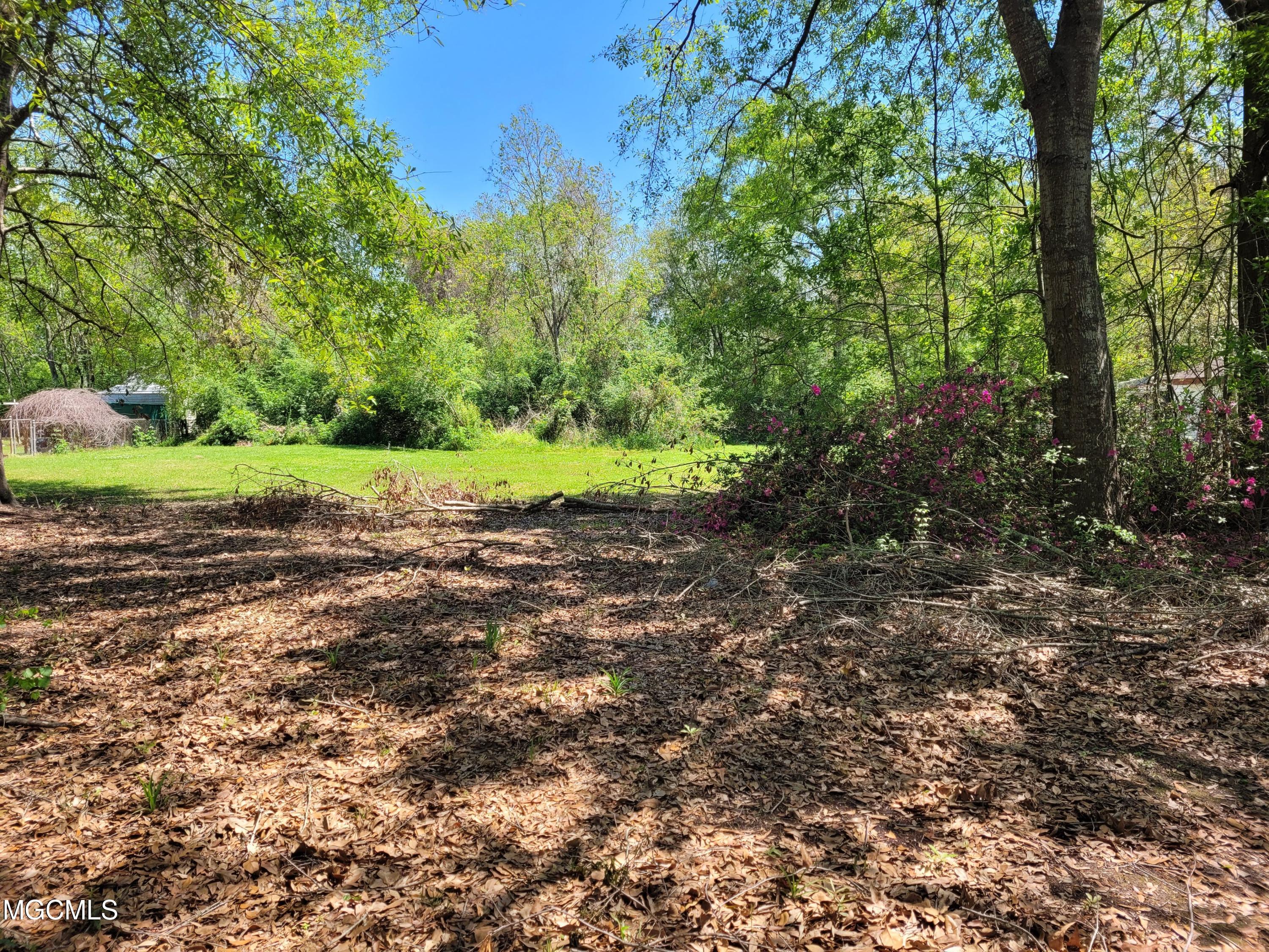 12120 Three Rivers Road Gulfport, MS 39503 - Photo 2 of 4 20210329_124221