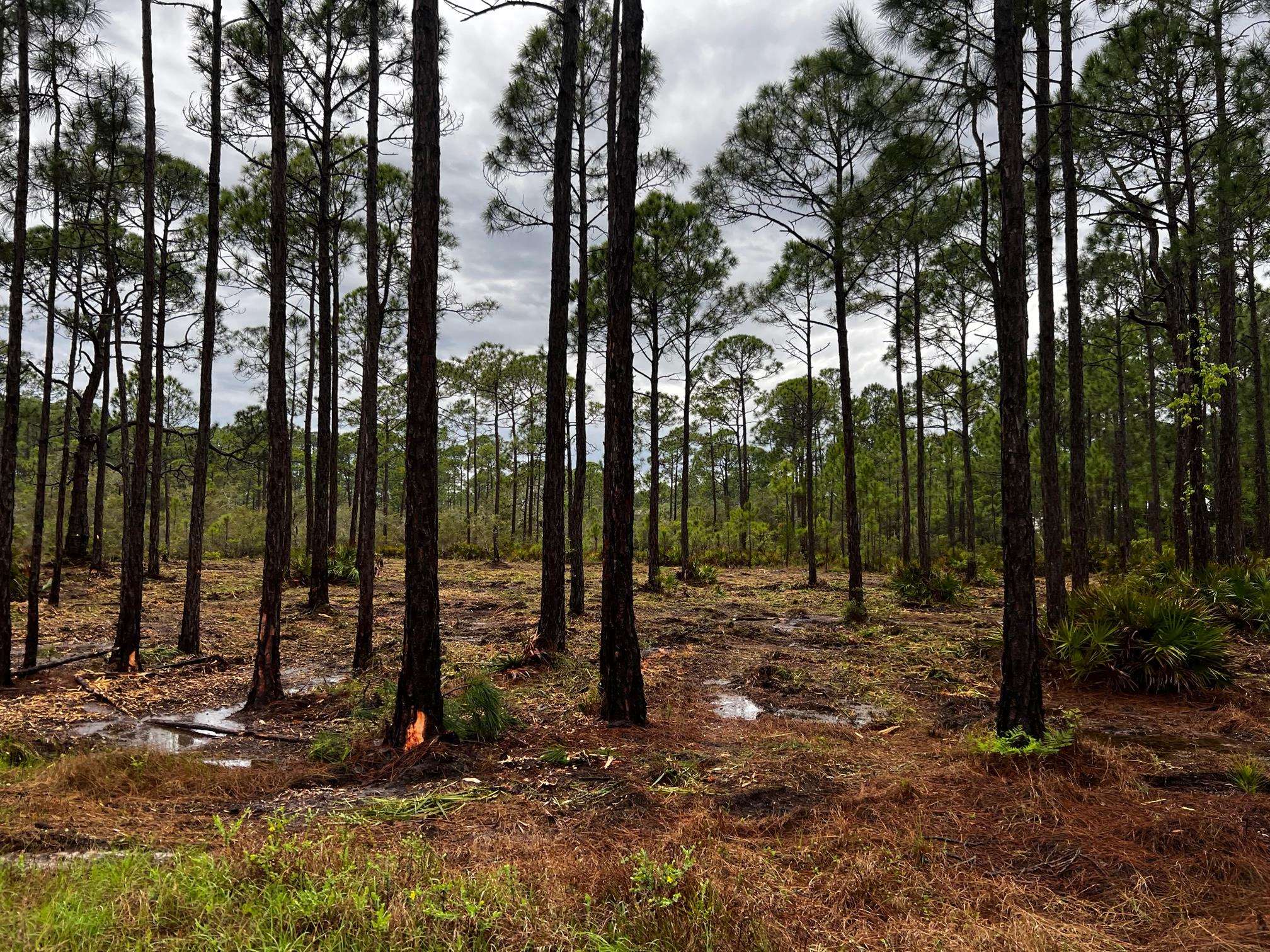 Xx Warbird Circle Panacea, FL 32346 - Photo 2 of 3