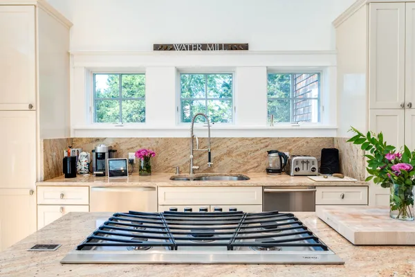 a kitchen with a stove a sink and a potted plant