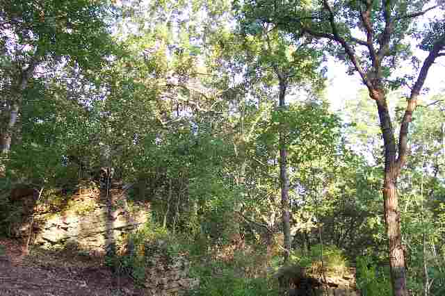 Tbd Elizabeth Scales Mound Rd Parcel E Elizabeth, IL 61028 - Photo 4 of 6 Gallery Image 4
