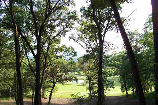 Tbd Elizabeth Scales Mound Rd Parcel E Elizabeth, IL 61028 - Photo 5 of 6 Gallery Image 5