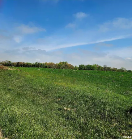 $60,000 | 166 Highway Creal Springs, Creal Springs, IL 62922