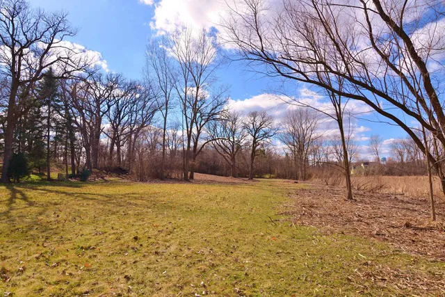 a view of an outdoor space with yard