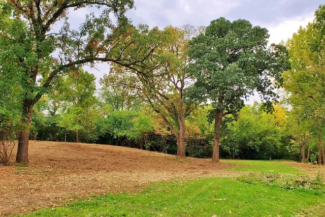 a view of outdoor space with trees