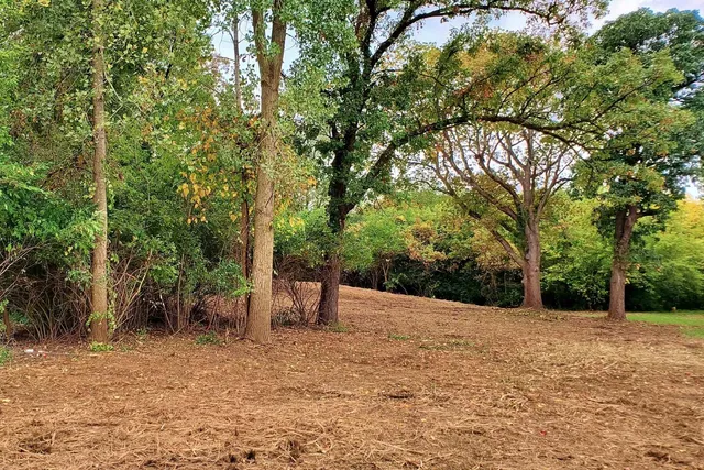 a backyard of a house with lots of trees