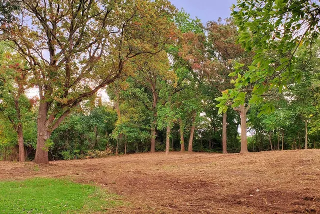 a backyard of a house with lots of trees