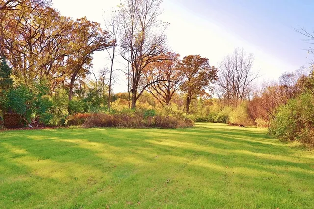 a view of dirt yard with a large tree