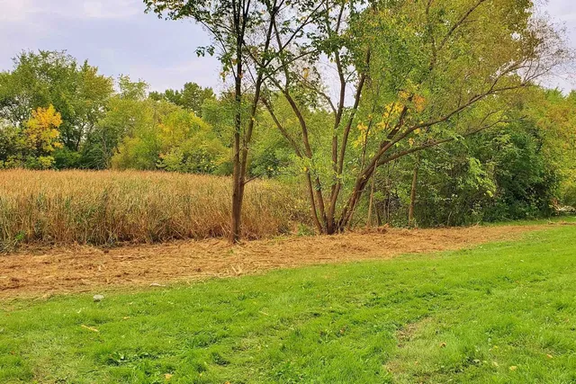 a backyard of a house with trees