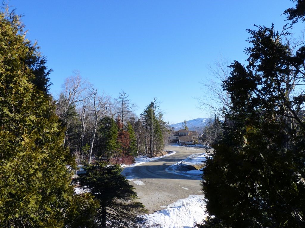 86 Ridges Way, Unit 4002 Peru, VT 05152 - Photo 10 of 25 Gallery Image 10