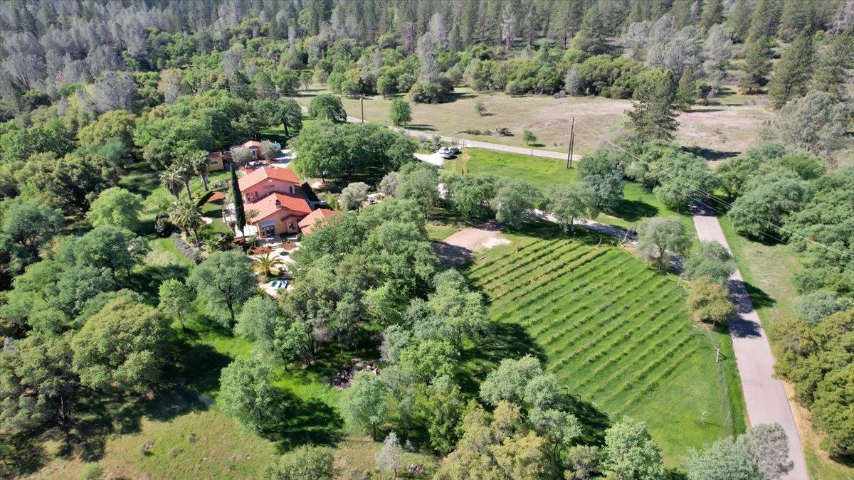 9735 Stackhouse Lane Oregon House, CA 95962 - Photo 2 of 98