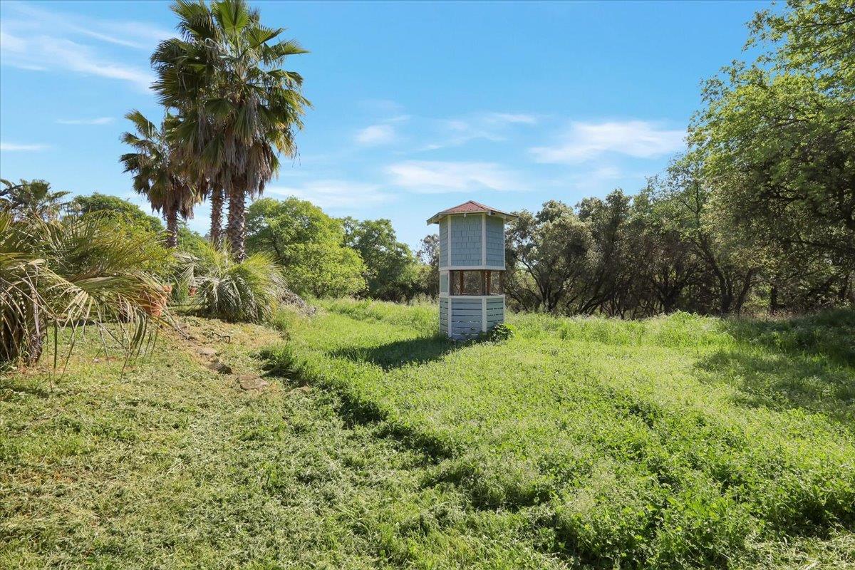 9735 Stackhouse Lane Oregon House, CA 95962 - Photo 76 of 98