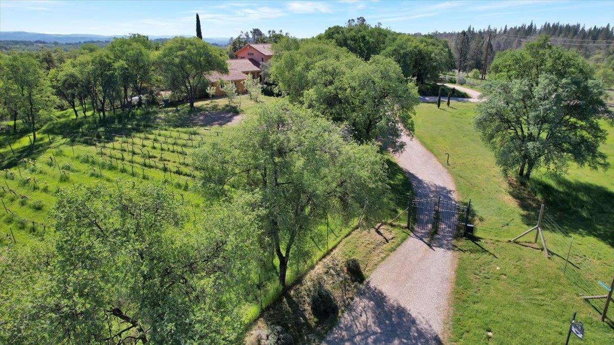 9735 Stackhouse Lane Oregon House, CA 95962 - Photo 94 of 98