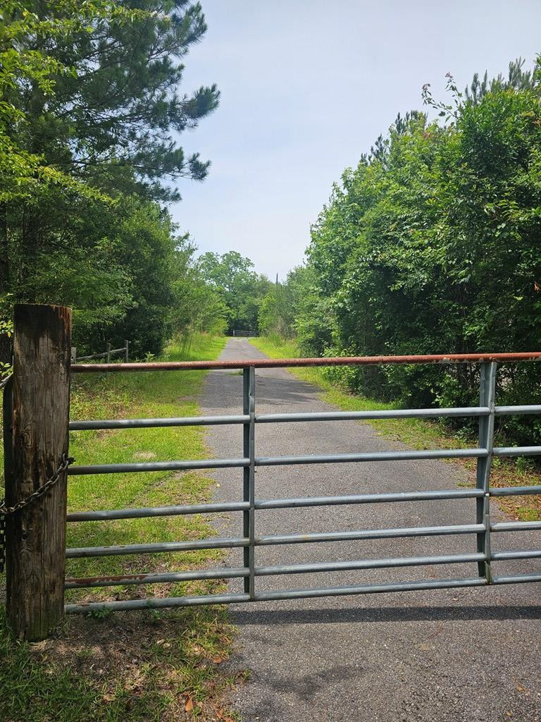 14196 Raccoon Road Manning, SC 29102 - Photo 3 of 39 Gallery Image 3
