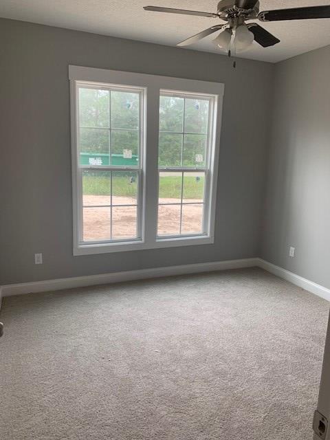 4235 River Road Valdosta, GA 31605 - Photo 6 of 19 Gallery Image 6