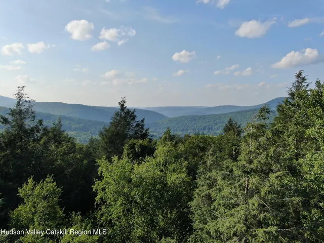 a view of a bunch of trees in the background
