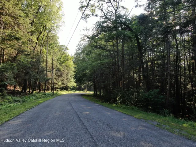 a view of a park with trees in the background