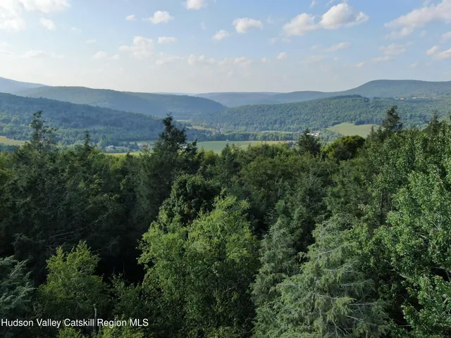 an aerial view of mountain and tree