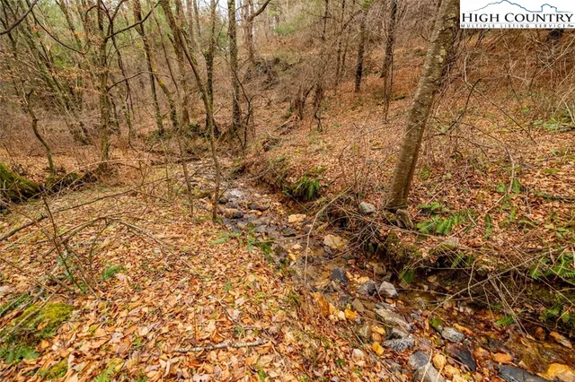 a view of a yard with a tree