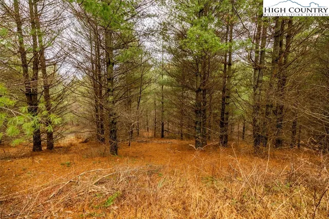 a view of outdoor space with trees