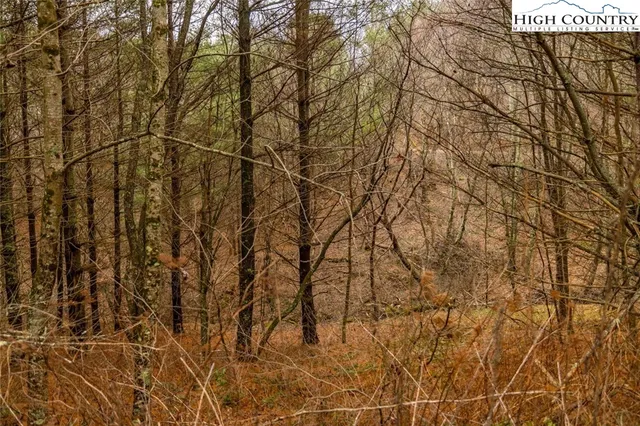 a view of a garden with a building