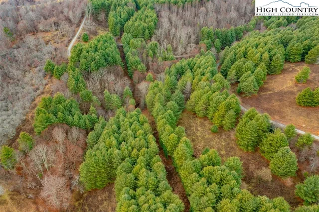 a view of a bunch of trees and flowers