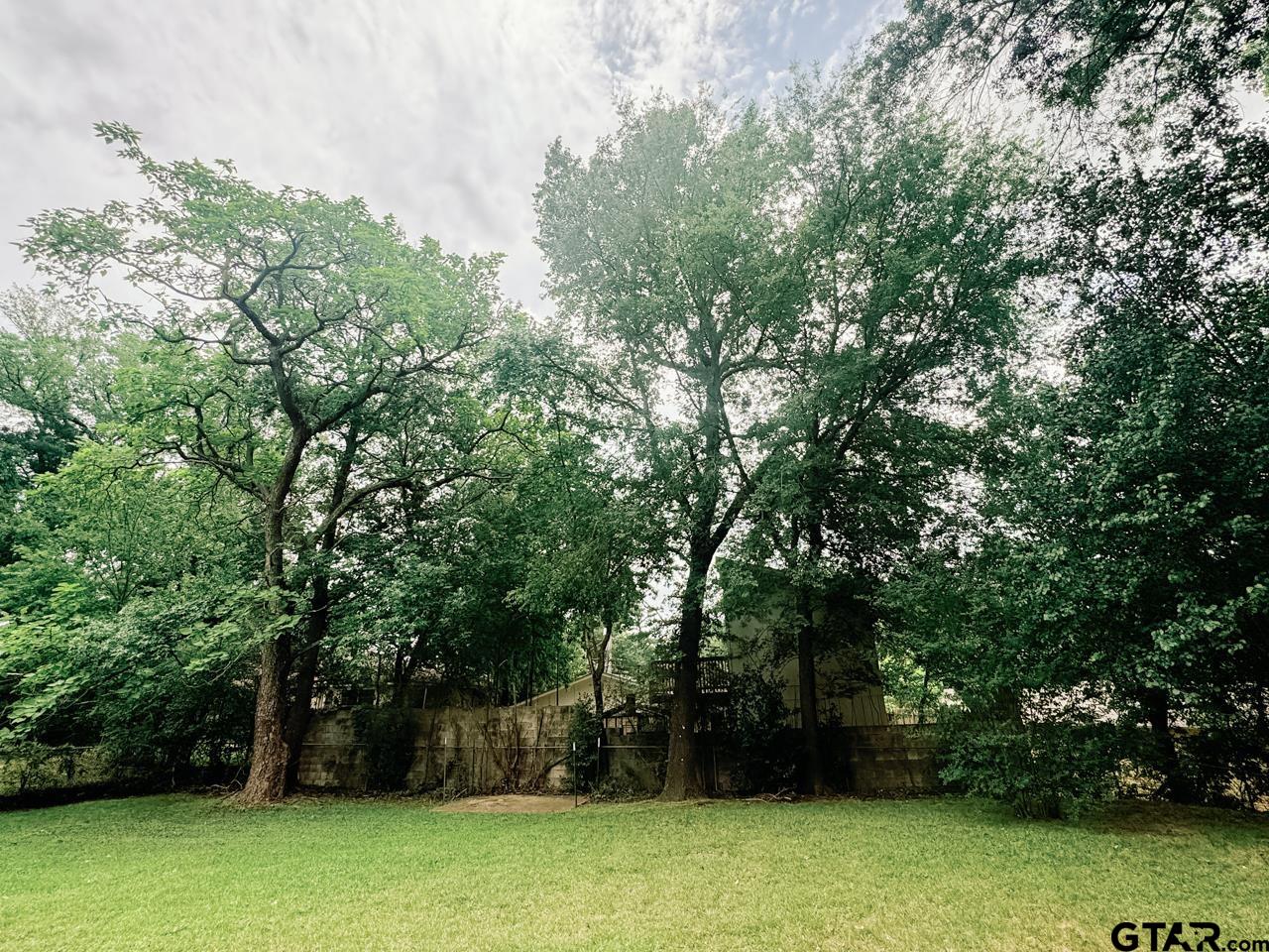 2411 Rodge Drive Tyler, TX 75701 - Photo 41 of 42 a view of a yard