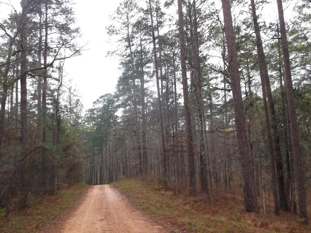 $790,725 | 104 Homochitto National Forre Street, Meadville, MS 39653