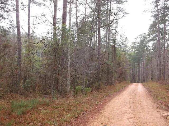 $790,725 | 104 Homochitto National Forre Street, Meadville, MS 39653