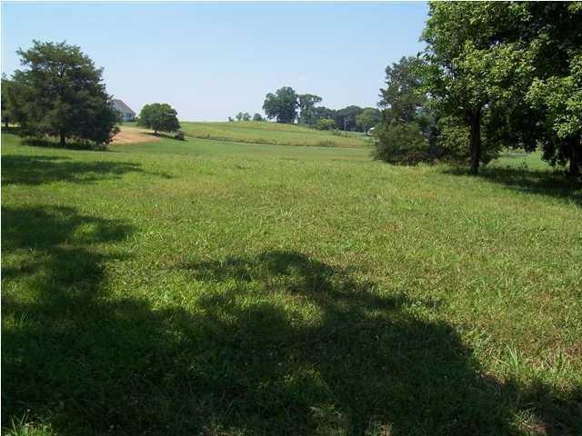 14 Rivers Edge Road, Unit 14A Dunlap, TN 37327 - Photo 2 of 3 beebe1