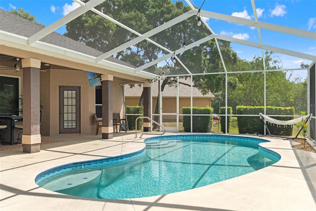 10327 Velvetseed Circle Spring Hill, FL 34608 - Photo 50 of 60