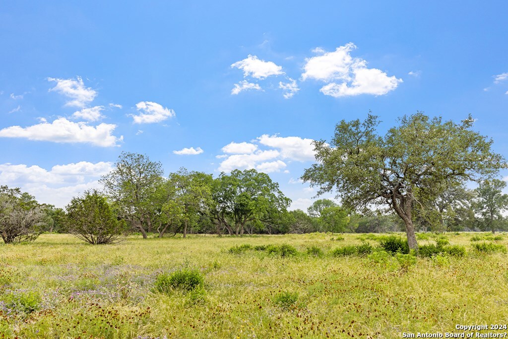 Lot 6 Coldwater Drive Center Point, TX 78010 - Photo 10 of 14