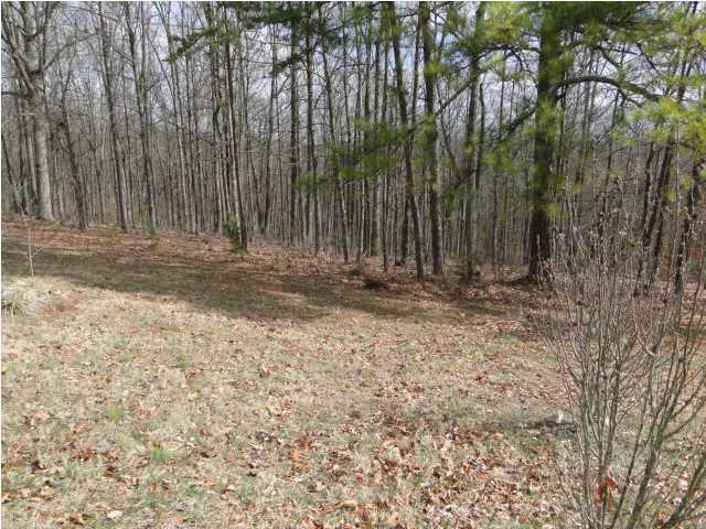 305 Mill Hamlet Road Northwest Charleston, TN 37310 - Photo 19 of 21 Additional Photo
