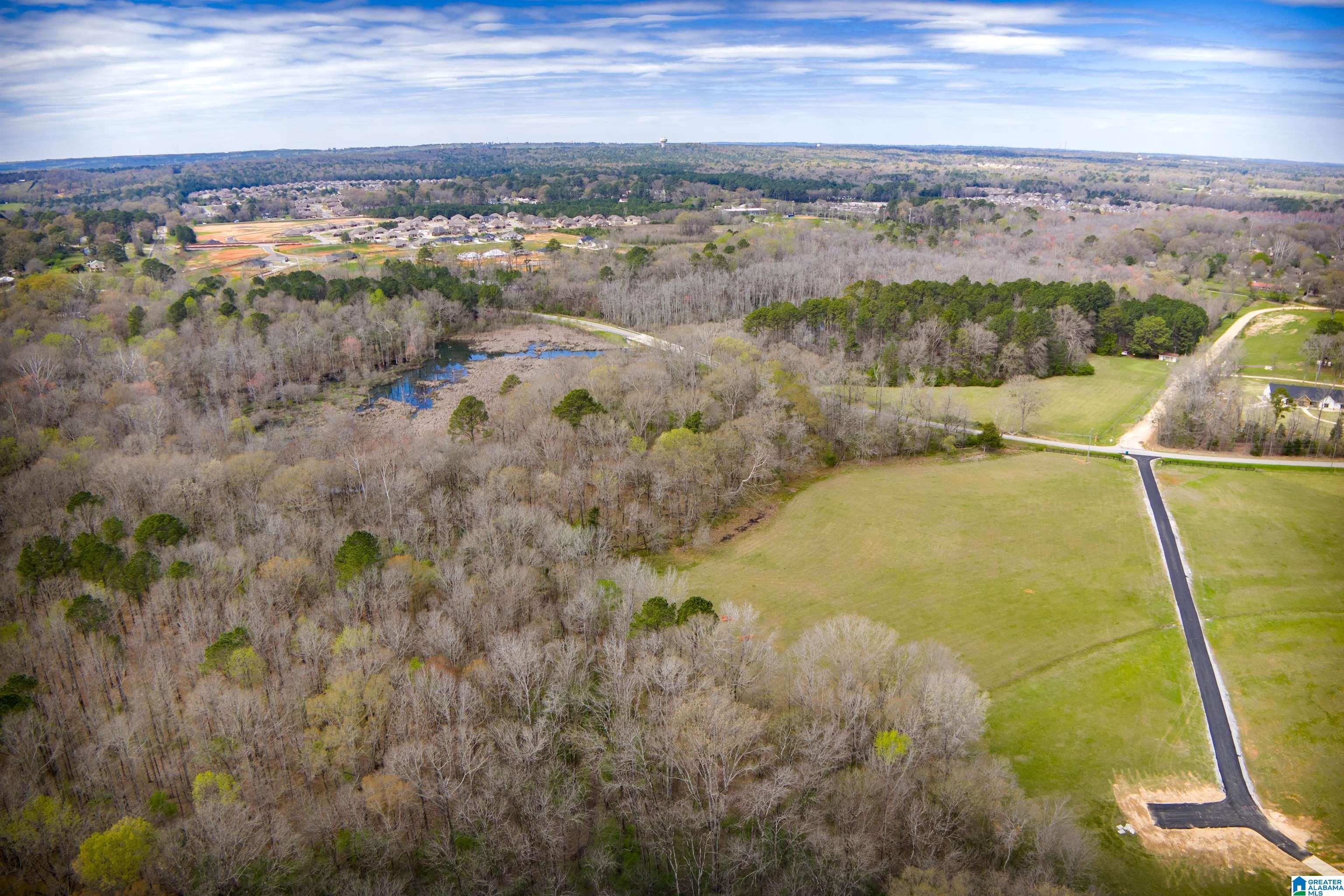850 County Road 24, Unit 1B Montevallo, AL 35115 - Photo 22 of 24