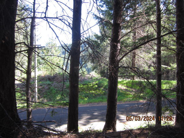 232 Nob Hill Road Shelter Cove, CA 95589 - Photo 5 of 20