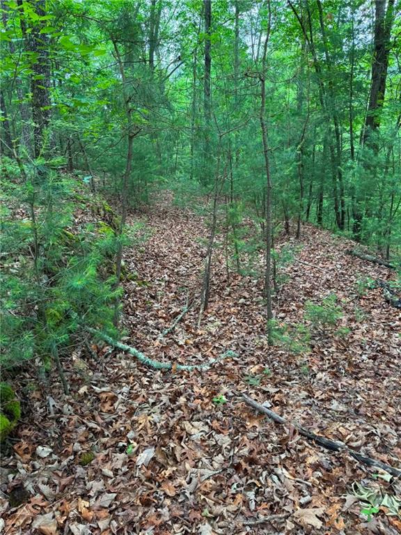 1674 A Hunter Drive Ranger, GA 30734 - Photo 4 of 25 a view of a forest with trees in the background