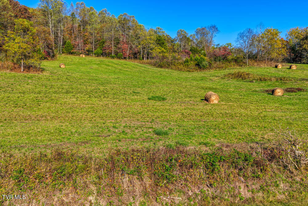 275 Wake Forest Road Eidson, TN 37731 - Photo 24 of 57 275 Wake Forest. Eidson MLSa (27 of 49)