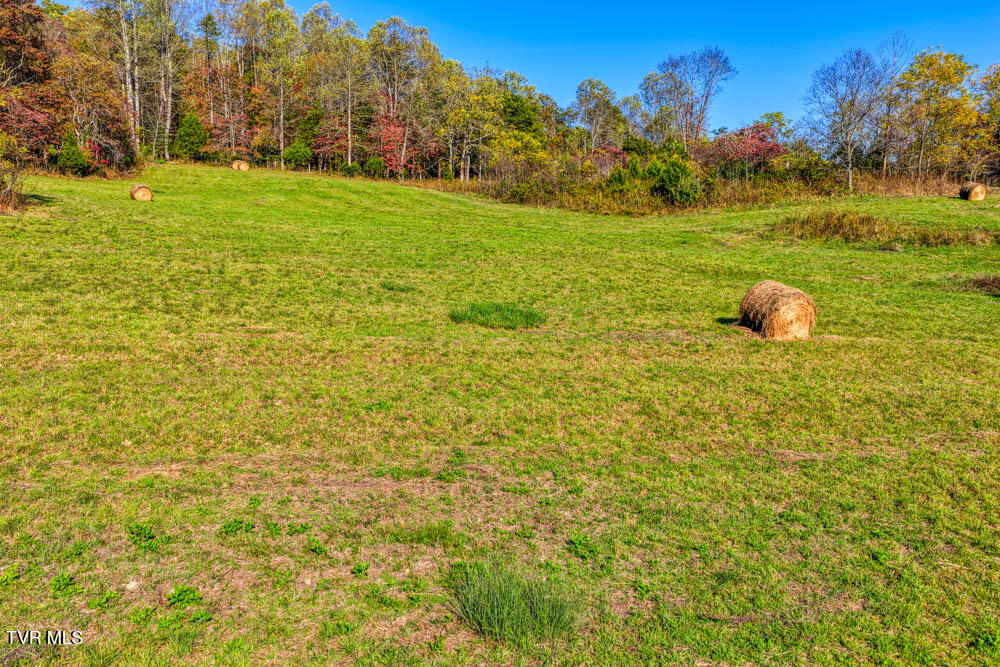 275 Wake Forest Road Eidson, TN 37731 - Photo 39 of 57 275 Wake Forest. Eidson MLSa (28 of 49)