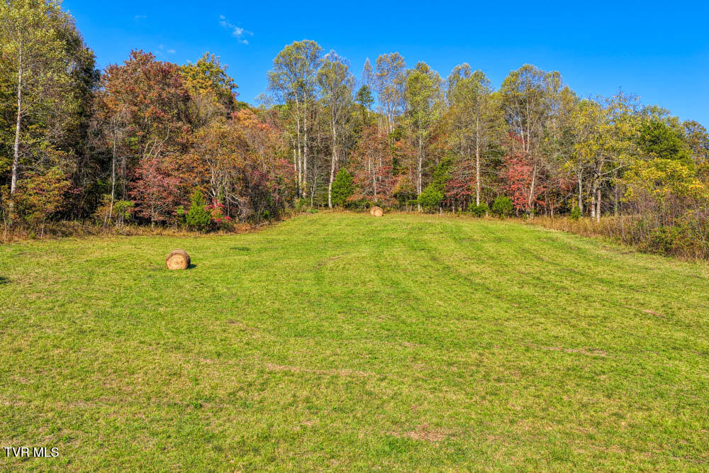 275 Wake Forest Road Eidson, TN 37731 - Photo 41 of 57 275 Wake Forest. Eidson MLSa (32 of 49)