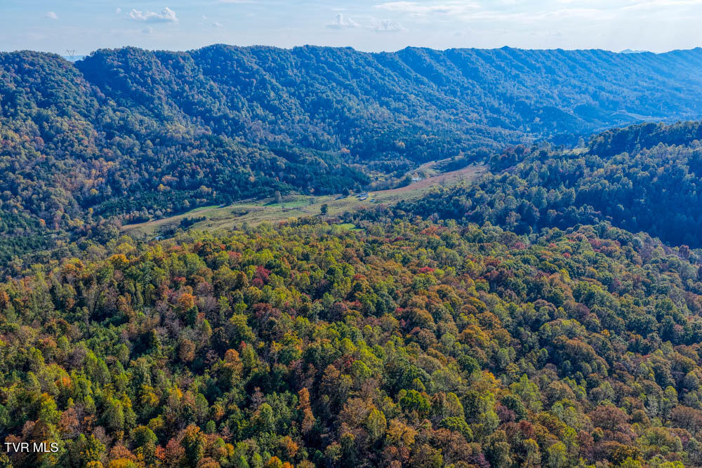 275 Wake Forest Road Eidson, TN 37731 - Photo 49 of 57 275 Wake Forest. Eidson MLSa (42 of 49)