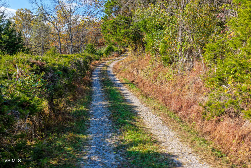 275 Wake Forest Road Eidson, TN 37731 - Photo 52 of 57 275 Wake Forest. Eidson MLSa (47 of 49)